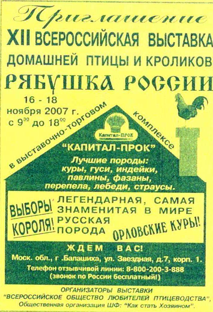 Image-27.jpg