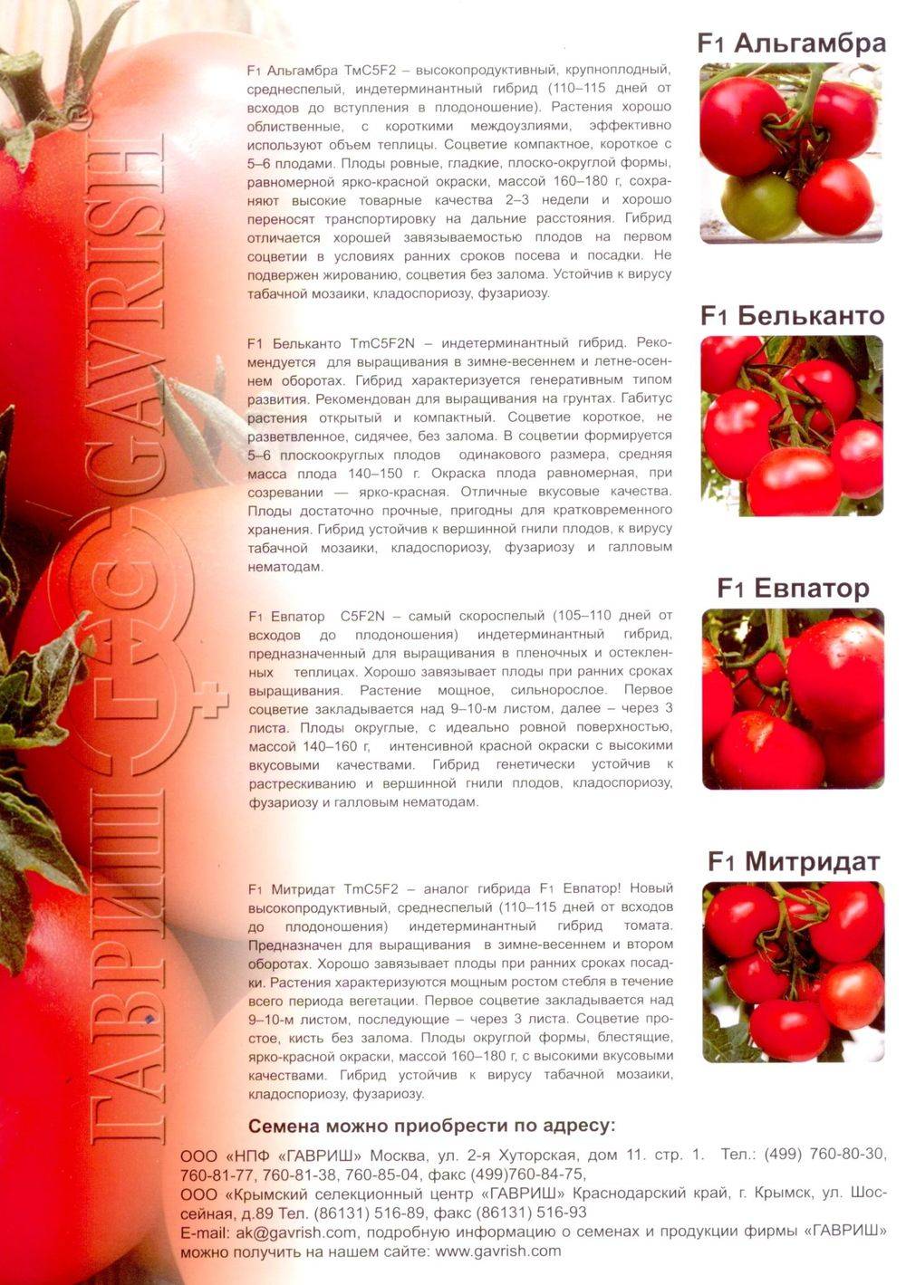 Image-48.jpg