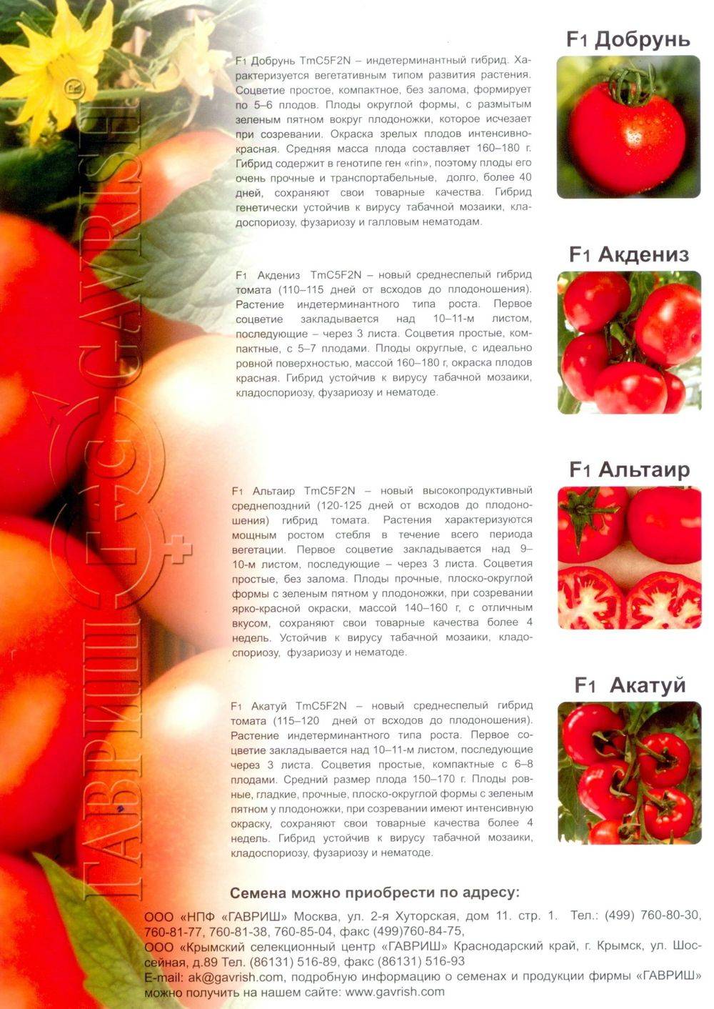 Image-50.jpg