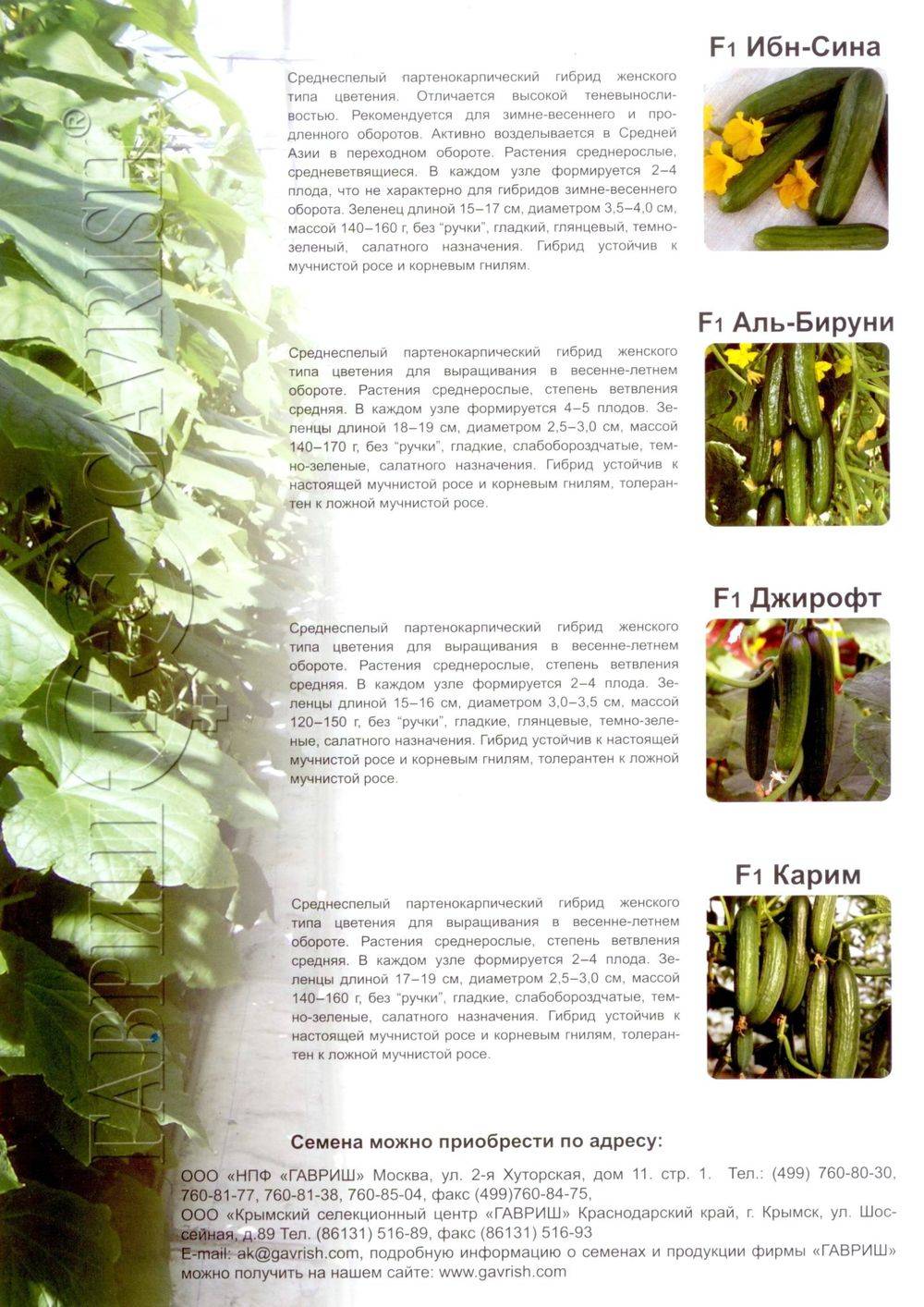 Image-52.jpg