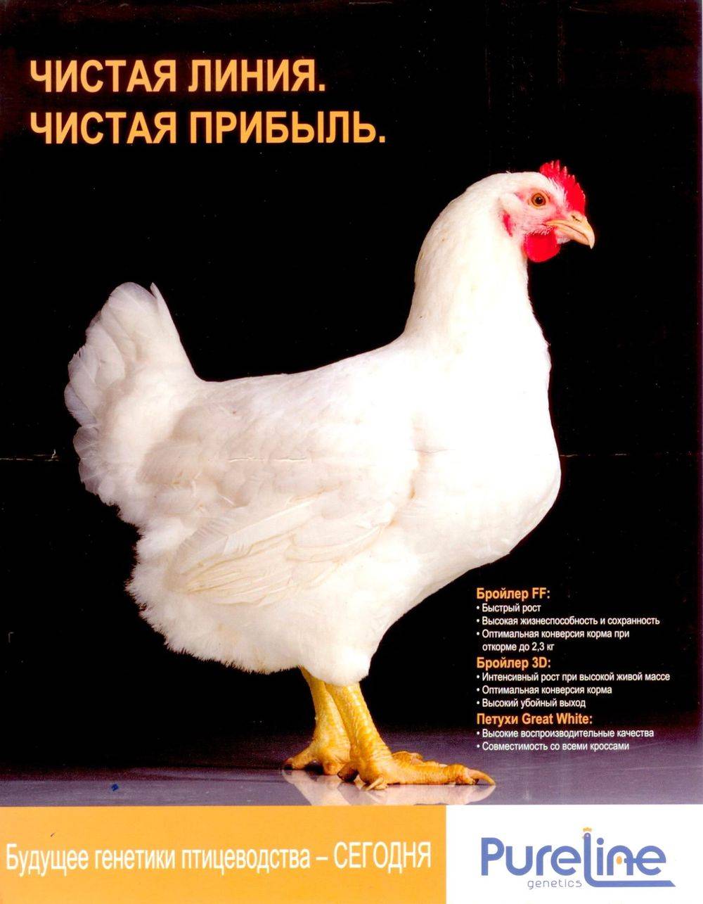 Image-61.jpg